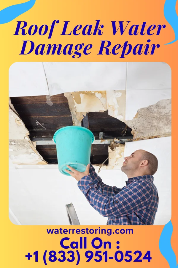 Roof Leak Water Damage Repair in Ritchie, IL