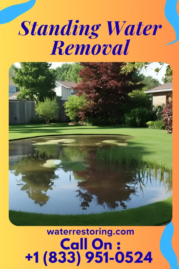 Standing Water Removal in Ritchie, IL
